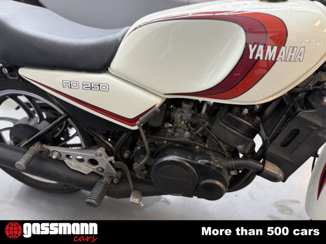 Andere RD 250 LC  / 38 PS / 247 ccm 