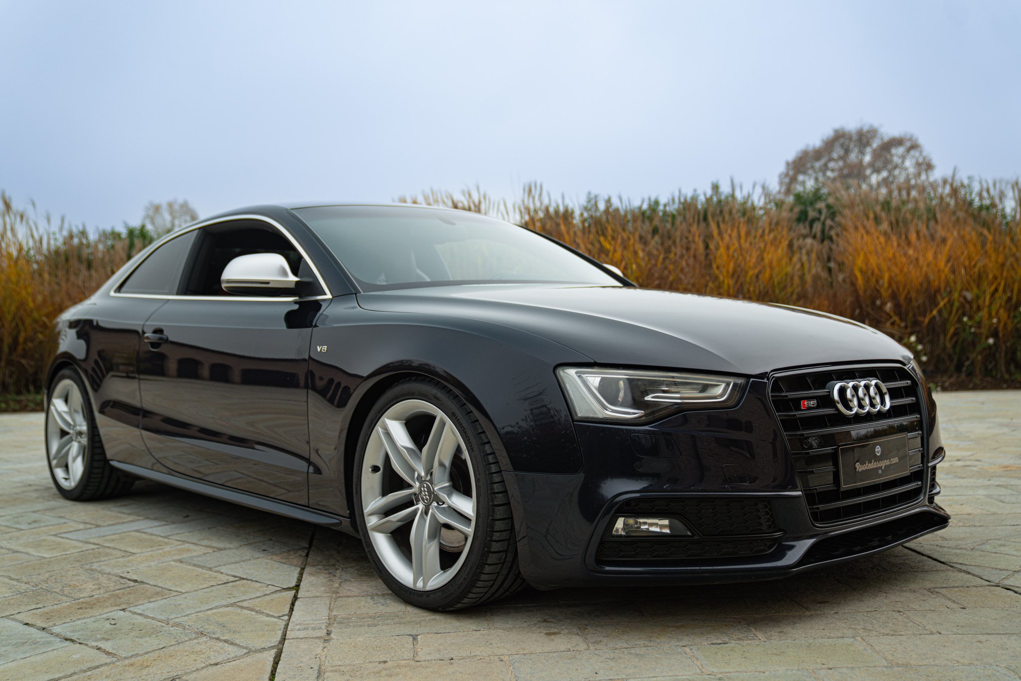 Audi S5 MANUALE 