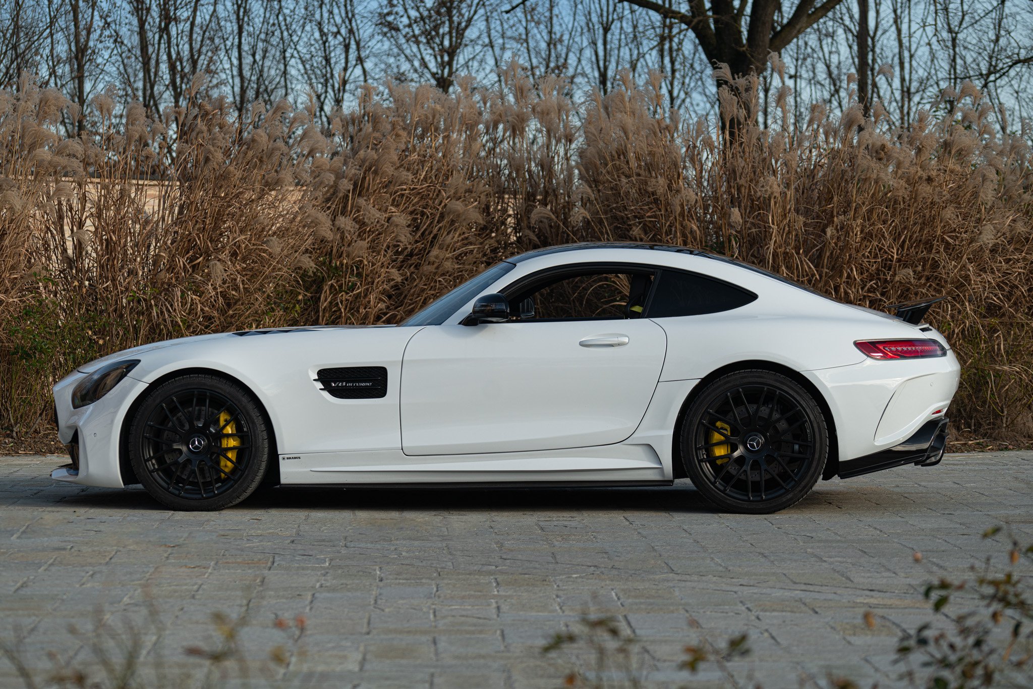 Mercedes Benz AMG GT 