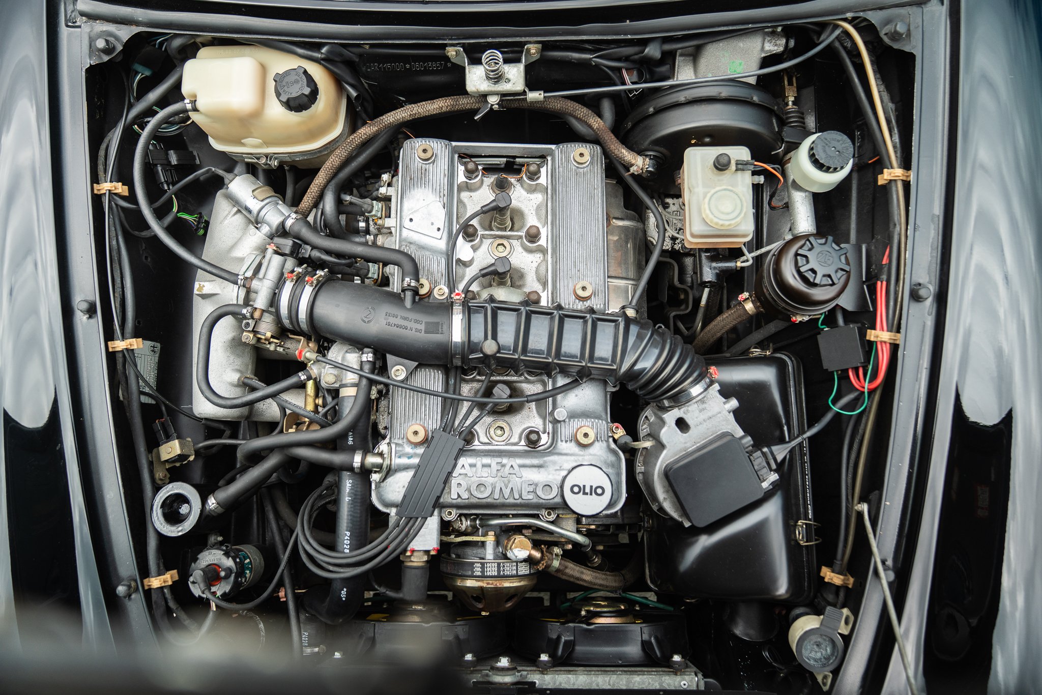 Alfa Romeo SPIDER DUETTO 
