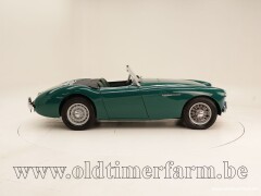 Austin Healey 100/4 BN1 \'54 