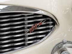 Austin Healey 100/6 \'57 