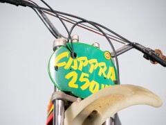 Montesa CAPPRA 250 VB 