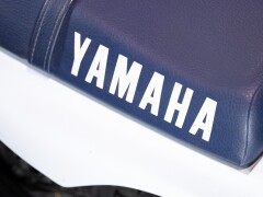 Yamaha TW 200 